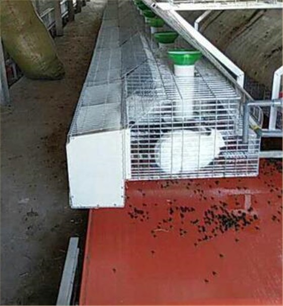 养殖输送带