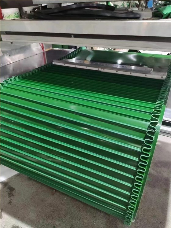 绿色挡板导条输送带